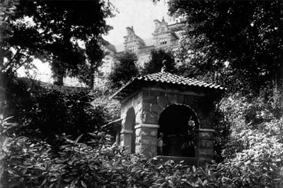 The well
